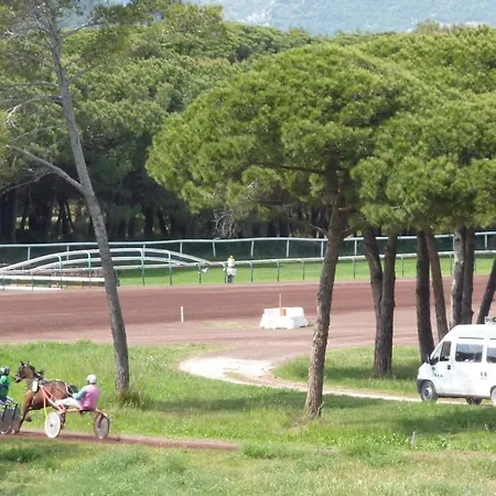 Bona, Vue Hippodrome Et Mer, Clim * Hyeres