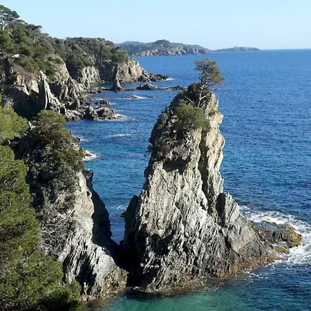 Résidence Bona, Vue Hippodrome Et Mer, Clim